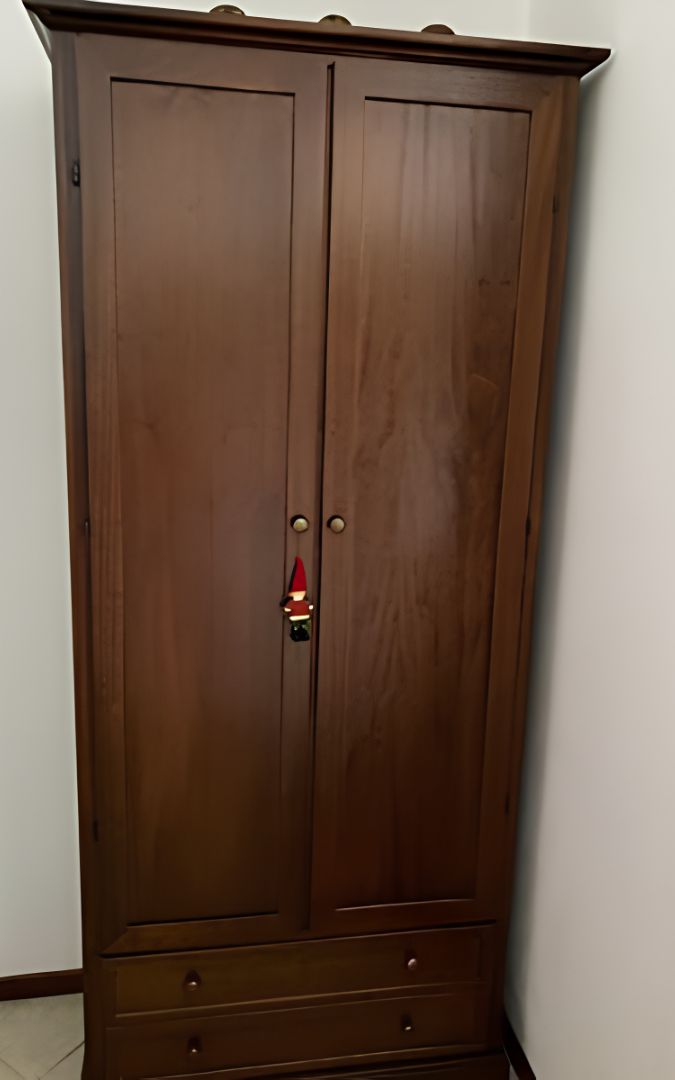 Armadio in legno noce scuro a due ante aperto, con appendiabiti interno e spazio per accessori.